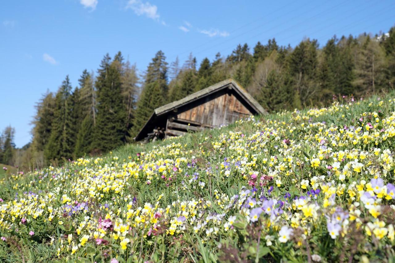Eiter Arzl im Pitztal